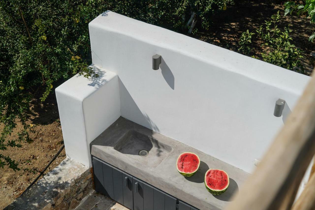 Junior Apartment with Plunge Pool (Kalafatis)