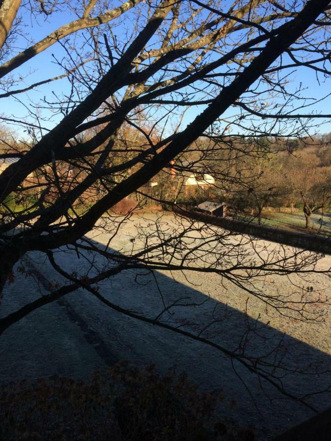 Twin Room Garden View,855134996:JPEG