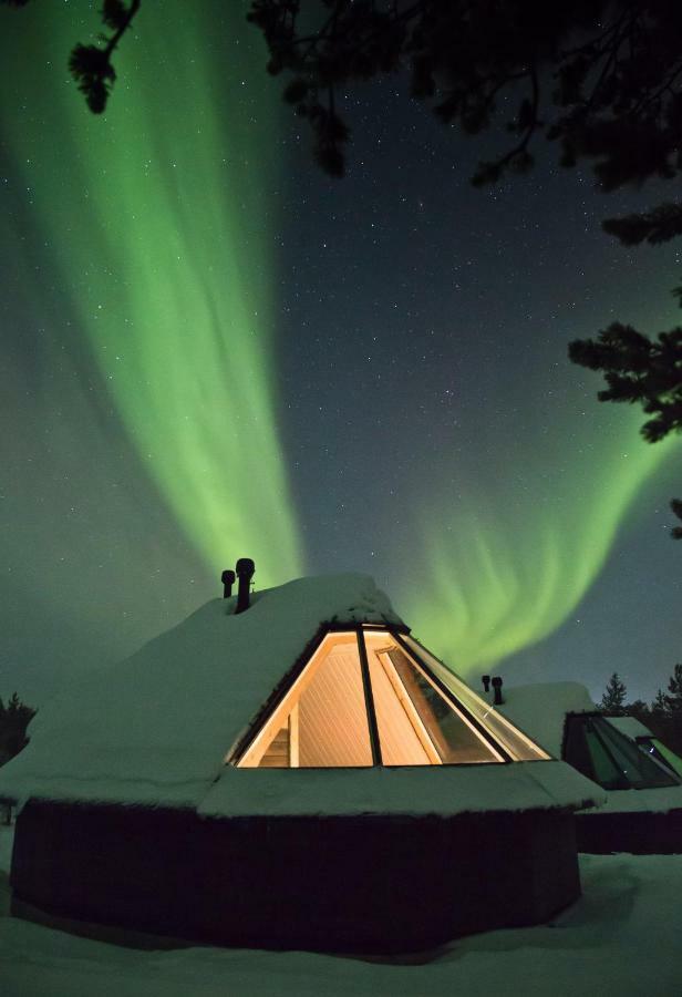 Cabane en Rondins avec Plafond de Verre