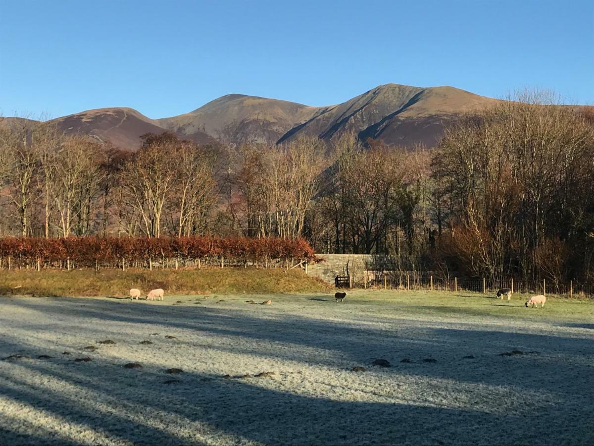 Family Room with Mountain View - Dog Friendly