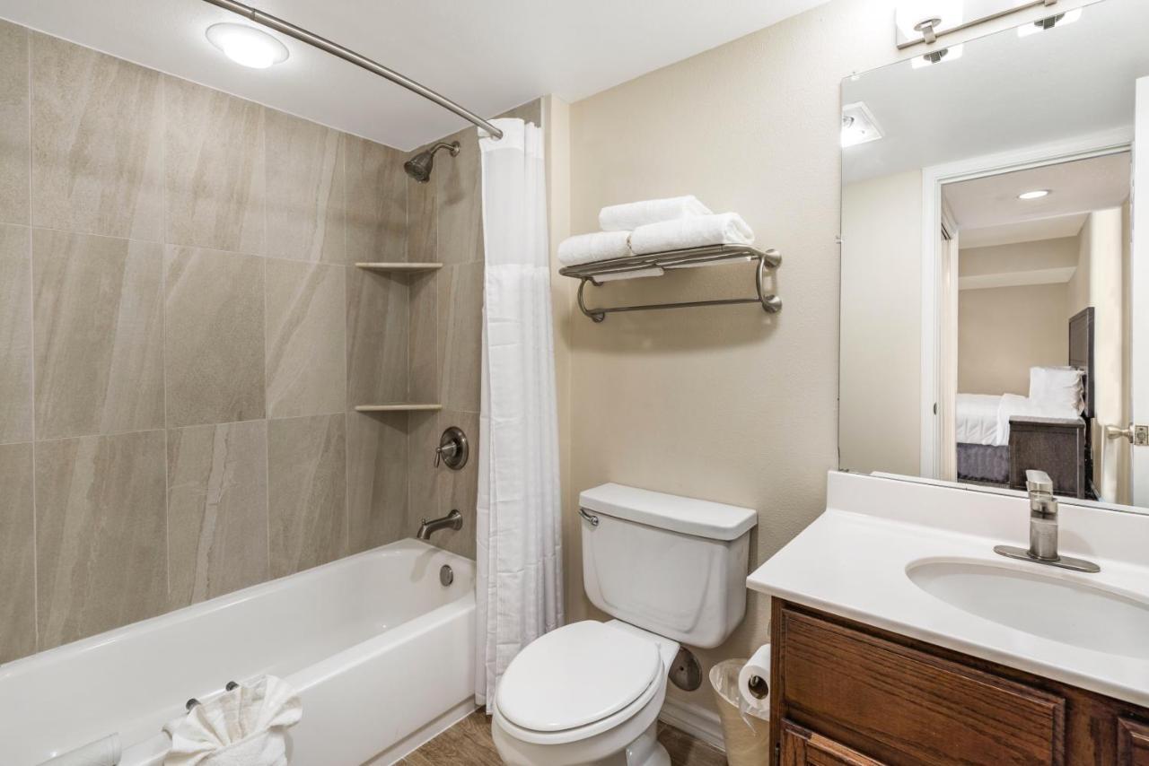 Estudio Deluxe con cama grande
