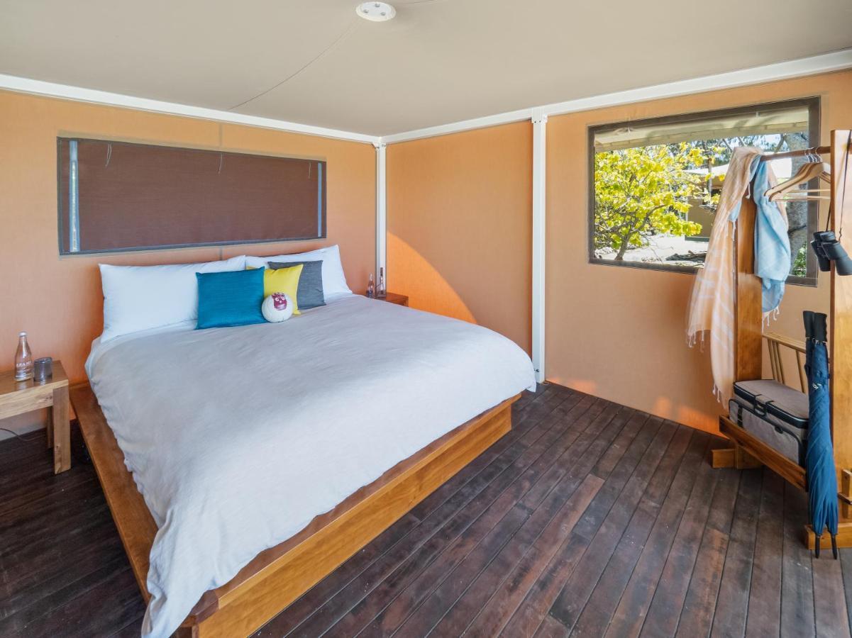 Reef Safari Eco Tent (Twin Share)