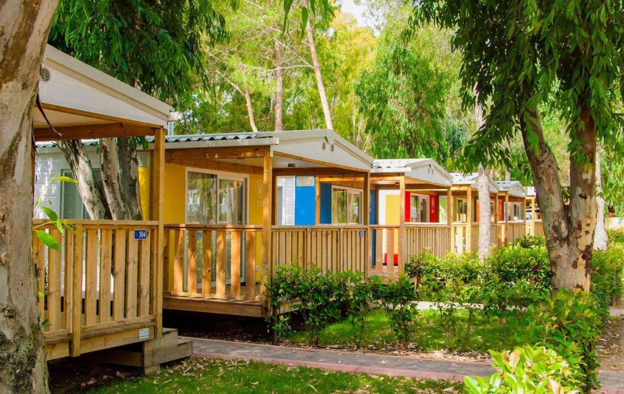 Deluxe Mobile Home