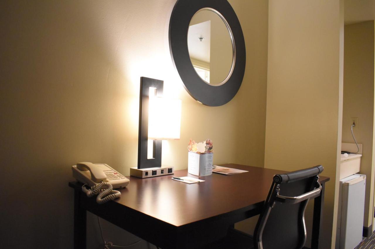 Suite Estudio - Cama extragrande - No fumadores