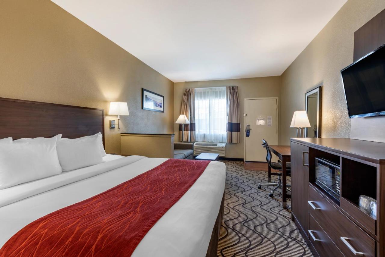 Suite, 1 King Bed with Sofa Bed, Pool View, Non Smoking