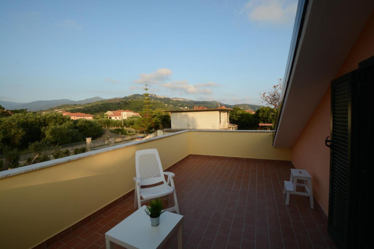 King Room with Garden View