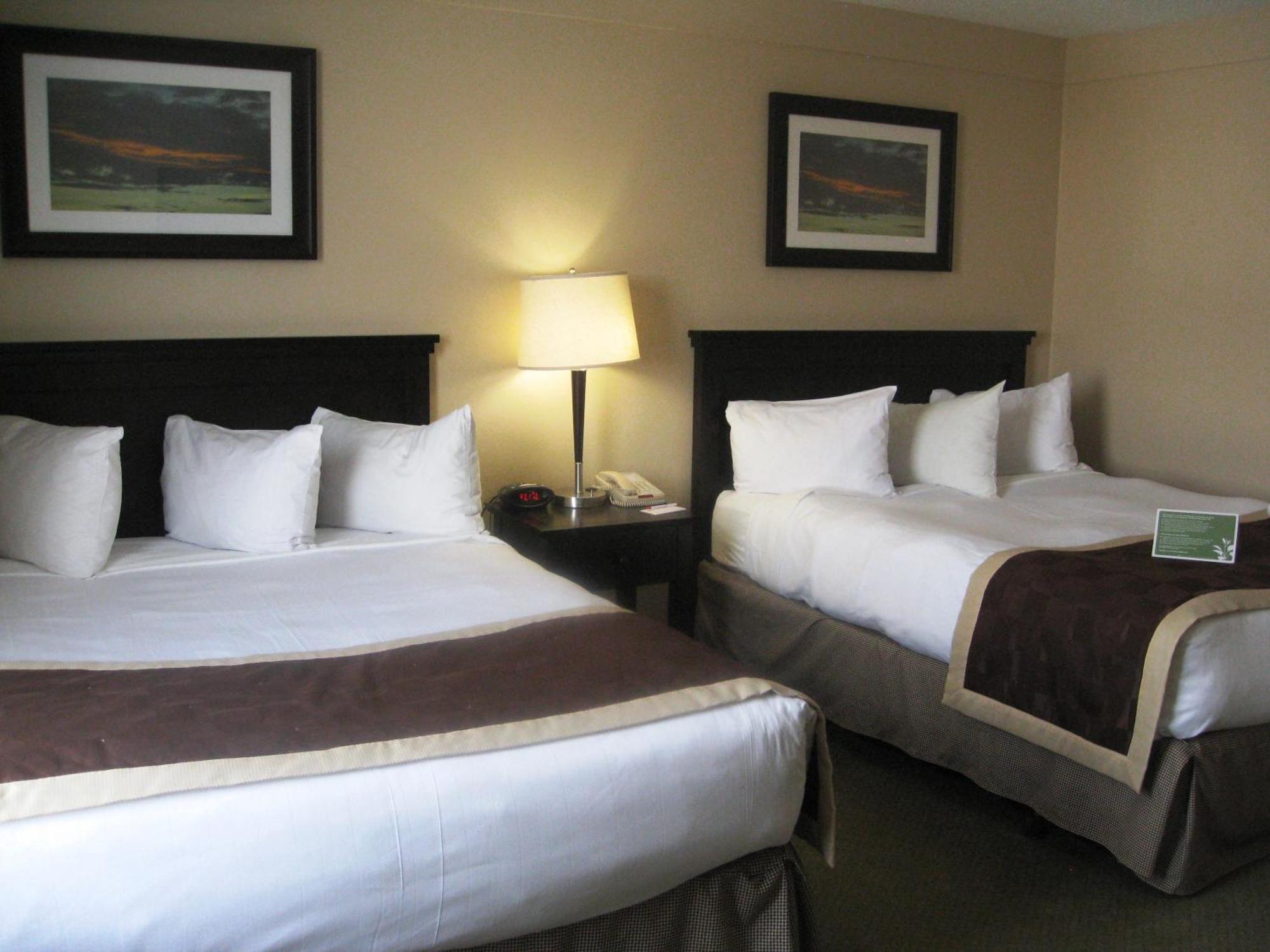 Queen Room with Two Queen Beds and City View - Non-Smoking