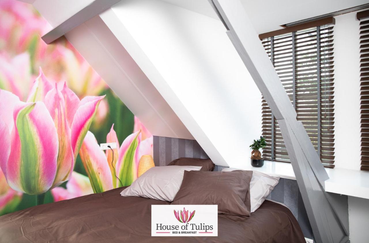Deluxe Kamer met Queensize Bed