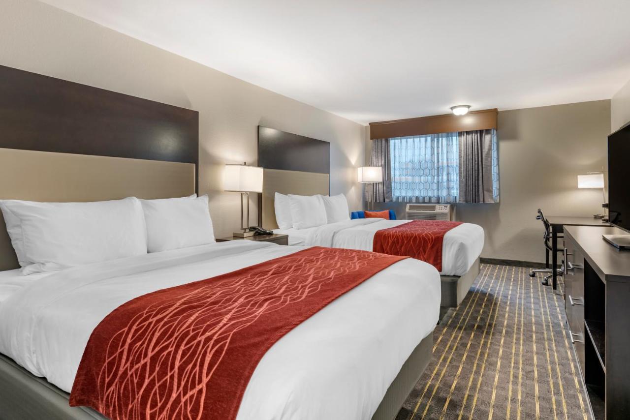 Queen Room with Two Queen Beds - Non-Smoking