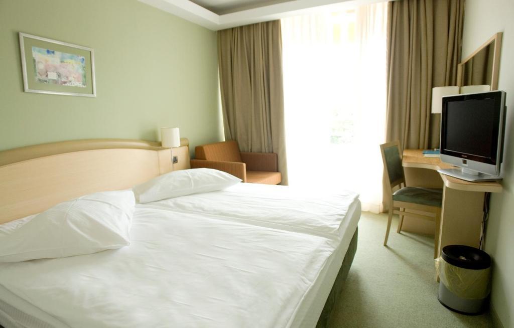 Superior Double or Twin Room - Park Side