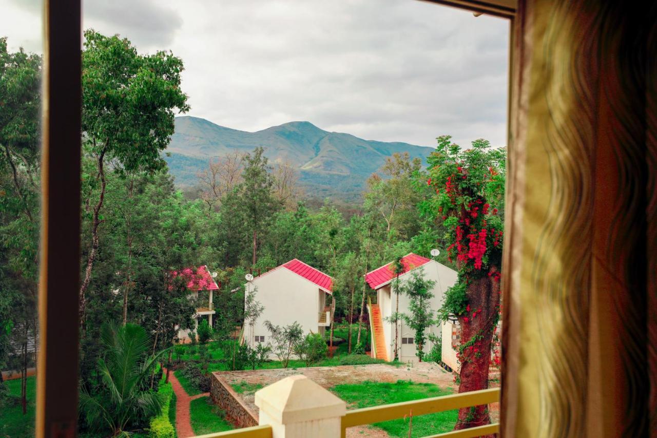 Hill View Room