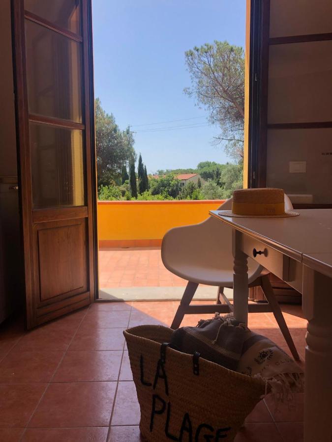 Standaard Appartement met Terras