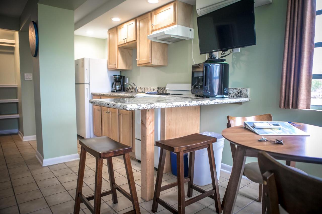 Apartamento Estudio grande - Camas grandes