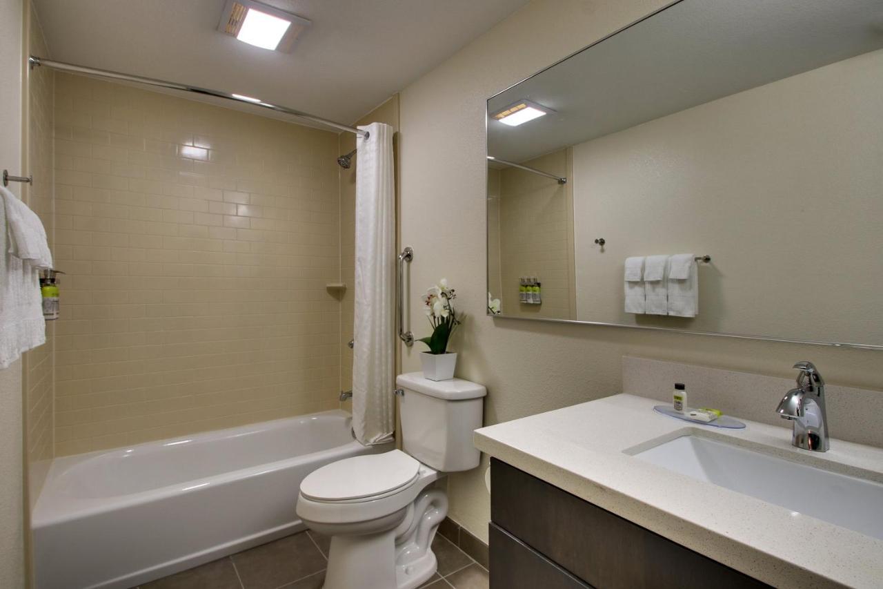 Studio Suite,981334057:JPEG