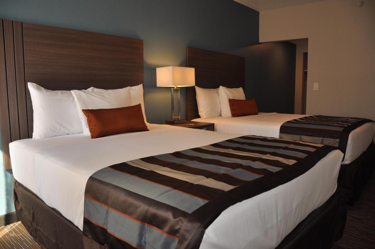 Deluxe King Suite
