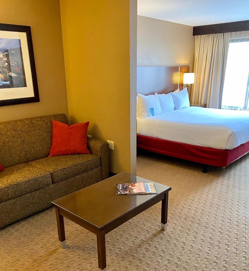 King Room with Accessible Roll-In Shower