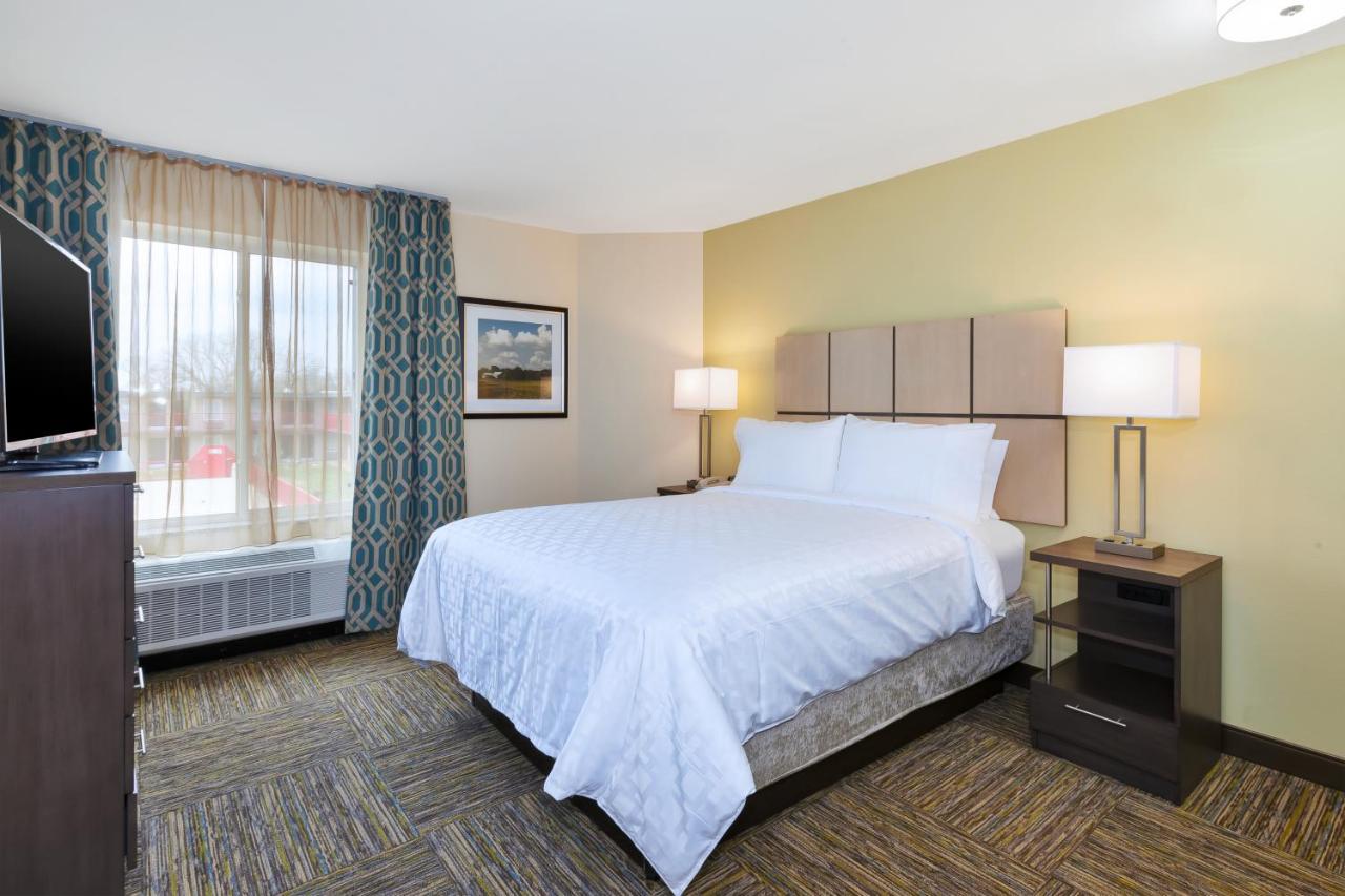 One-Bedroom Queen Suite