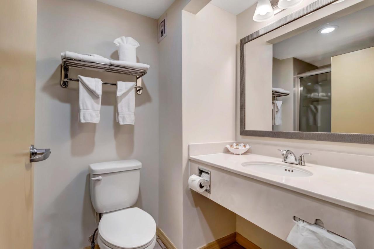 Deluxe King Suite