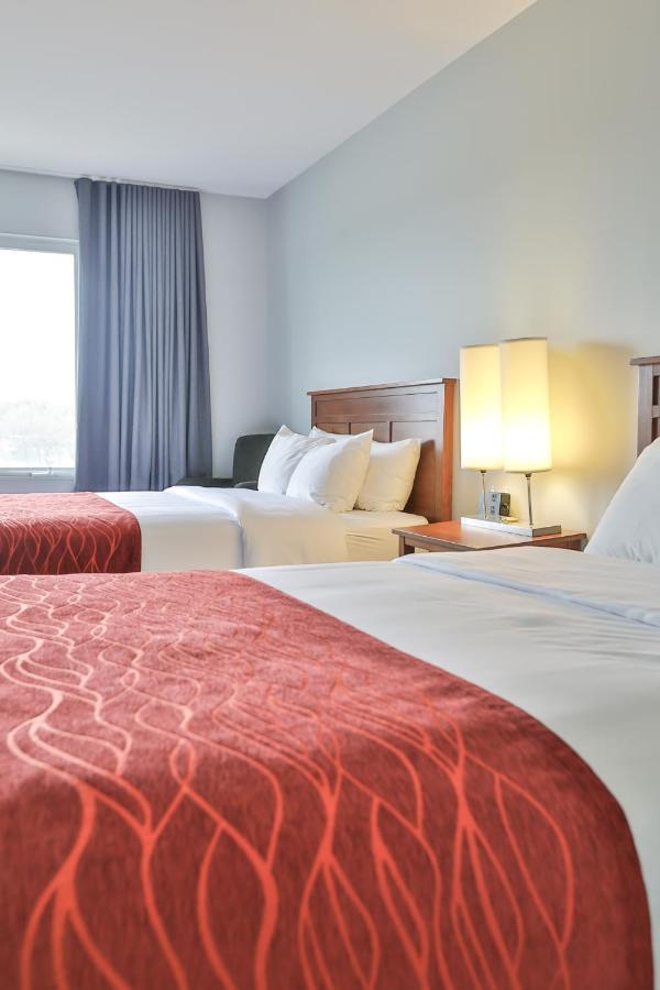 Queen Room with Two Queen Beds - Non Smoking