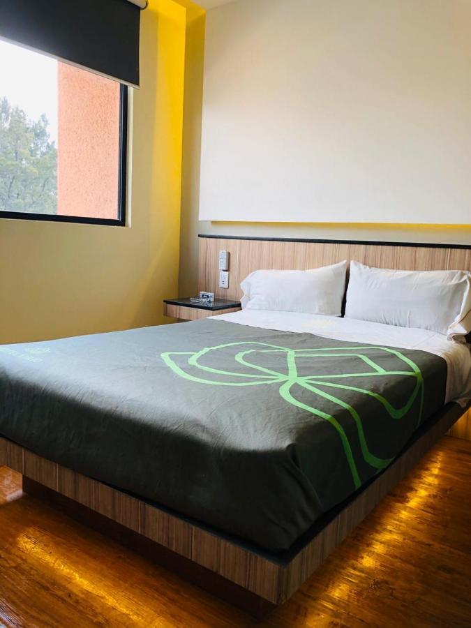 Quarto Superior com Cama Queen-size