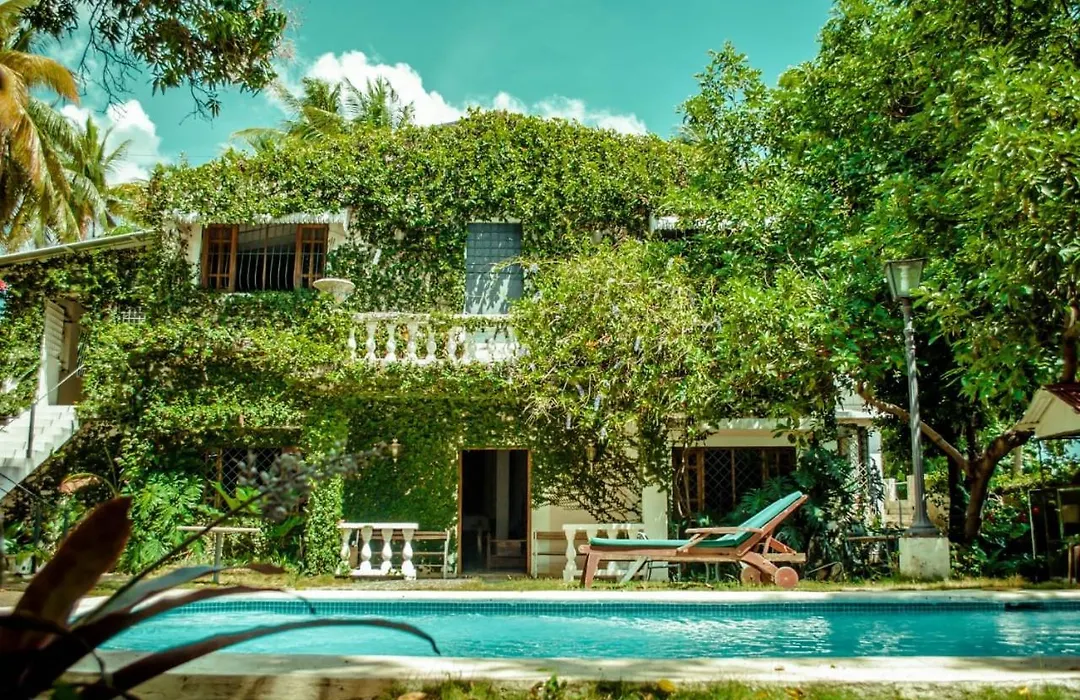 Villa Carolina Bed And Breakfast-1