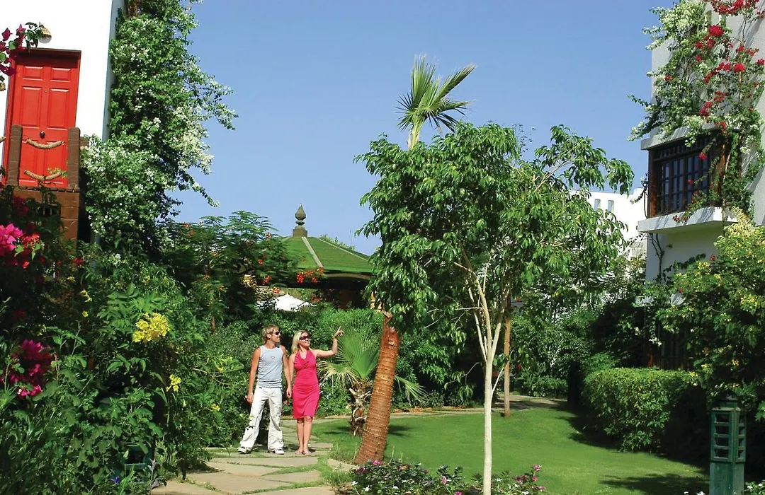 Delta Sharm Resort ,Official Web, Delta Rent, Sharm El Sheikh, South Sinai, Egypt-1