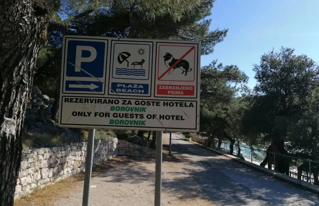 Hotel Borovnik-1
