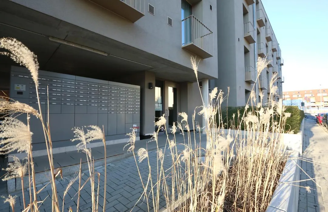 Campus Apartments-1