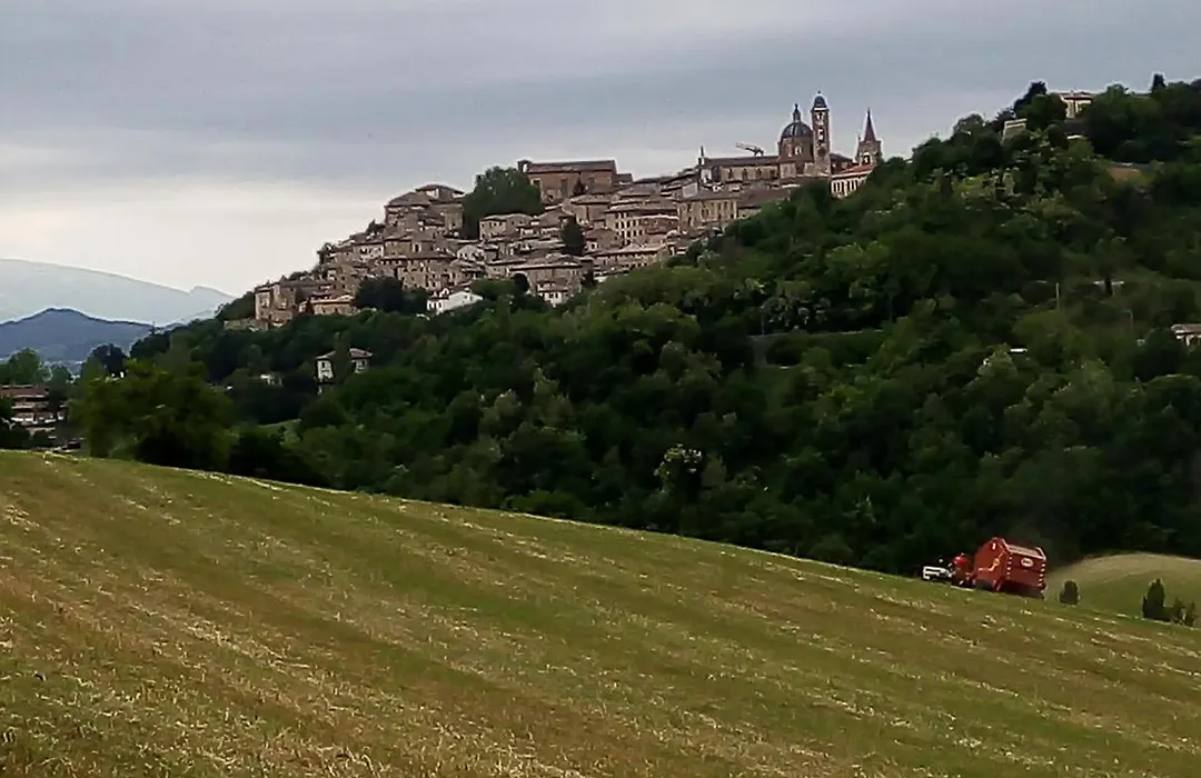 B&B Il Monchetto-1