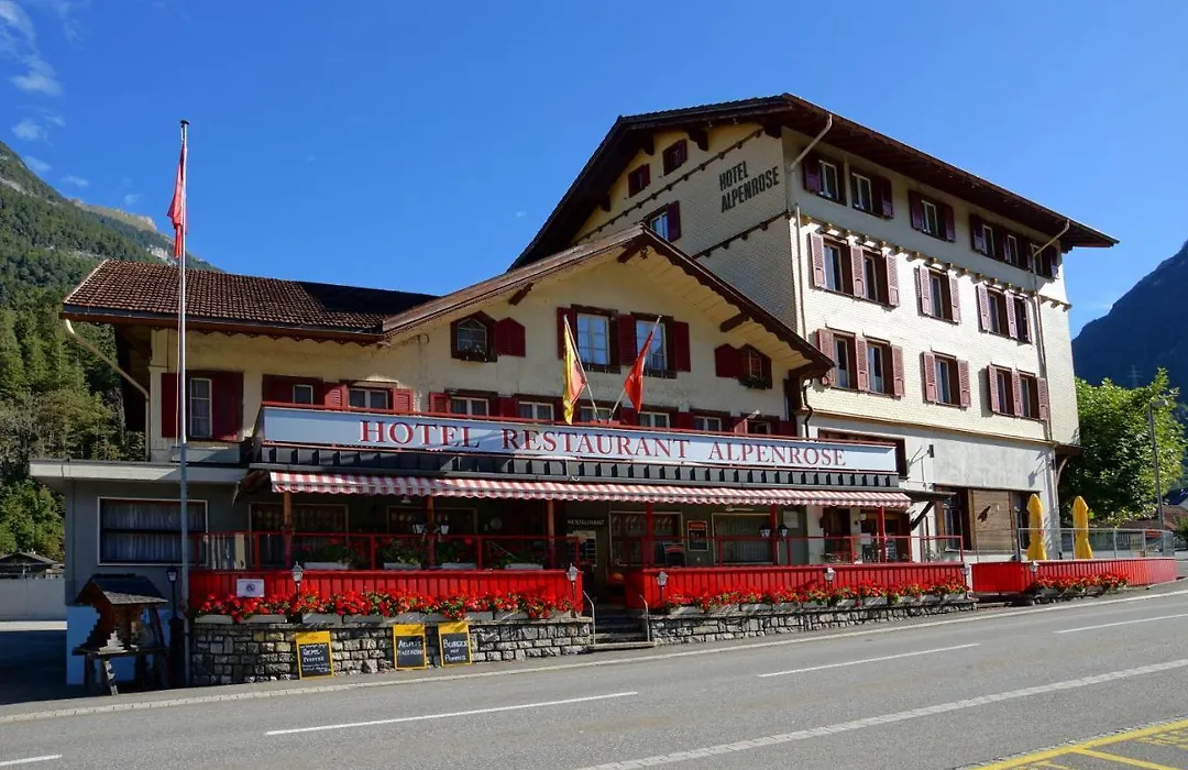 Alpenrose-1