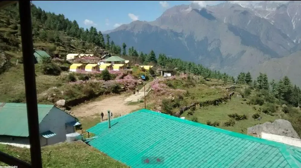 Gmvn Auli-1