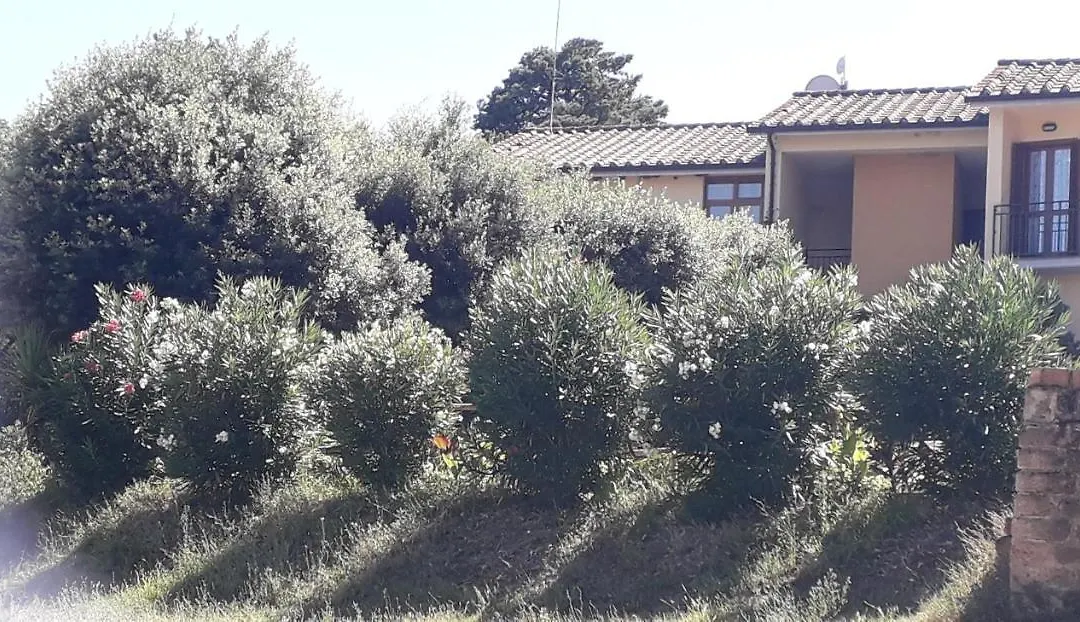 Scacco Matto-1