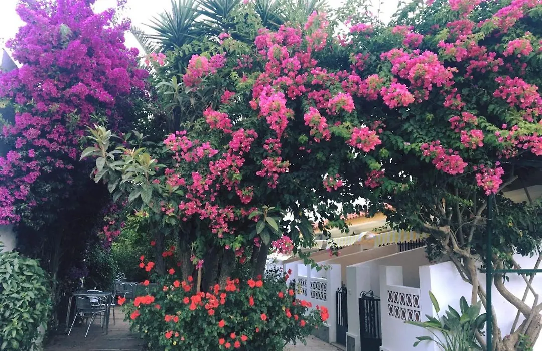 Hotel Antonio Conil-1