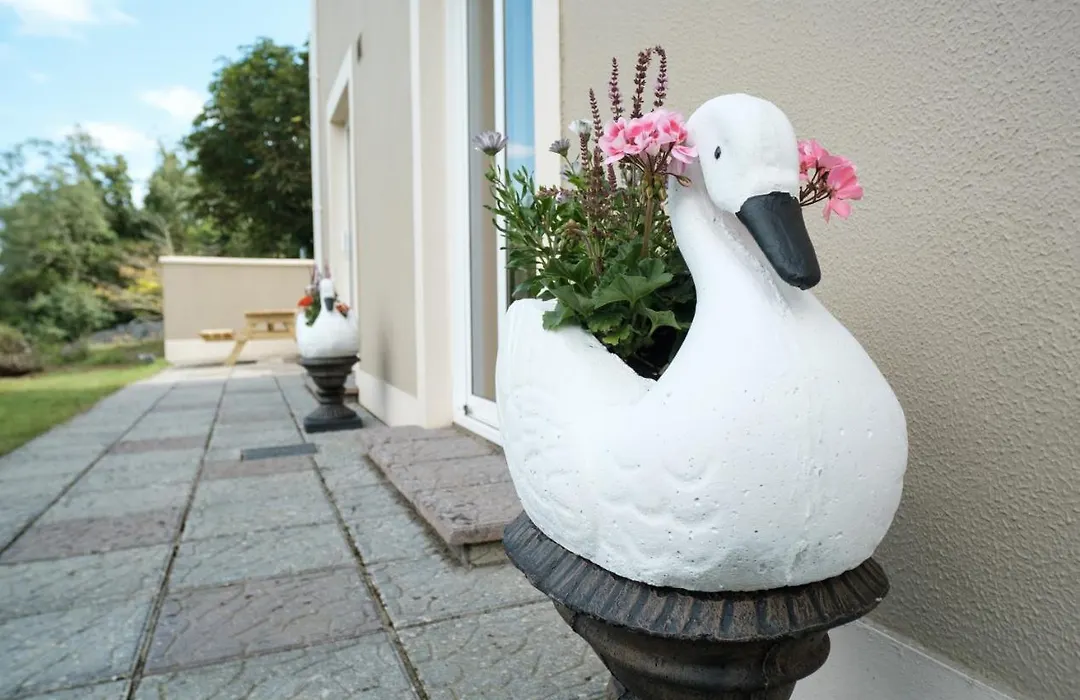 Ardilaun Guesthouse Self Catering-1