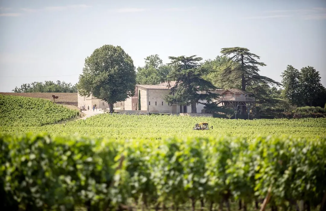 Le Relais De Franc Mayne Saint Emilion-1