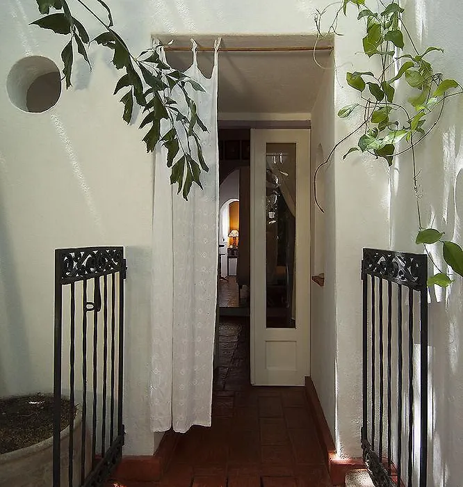 Lez Lezards Bed & Breakfast-1