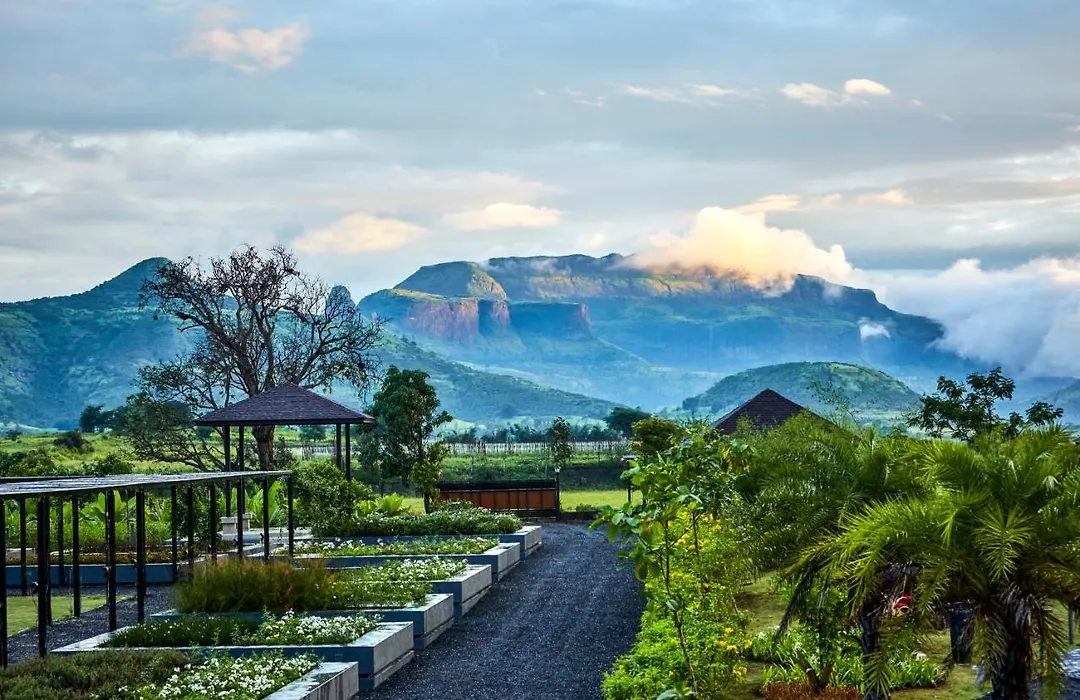 Viveda Wellness Resort-1