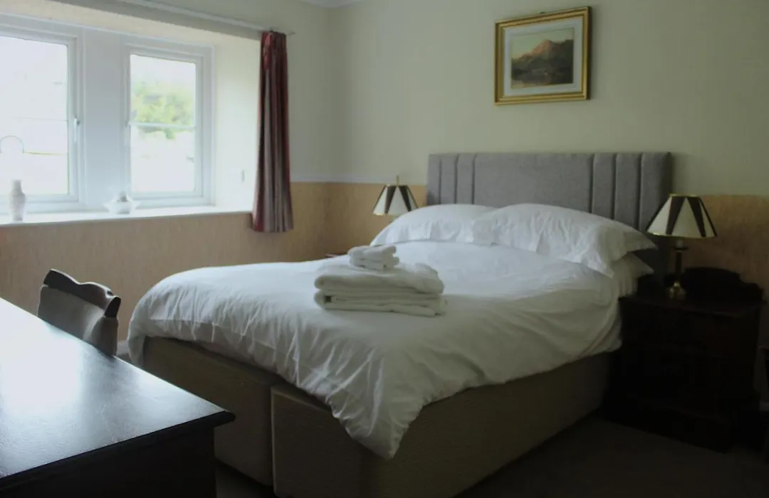 The Buck Hotel-1