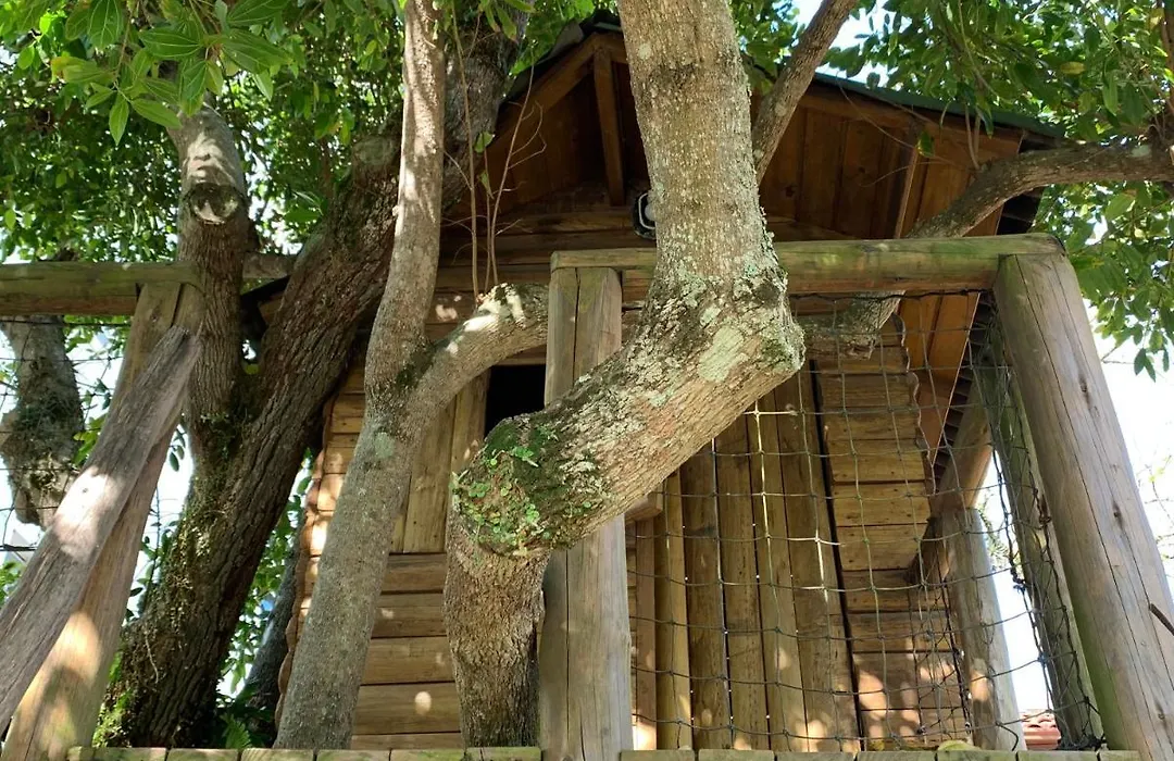 Beach House Floripa-1
