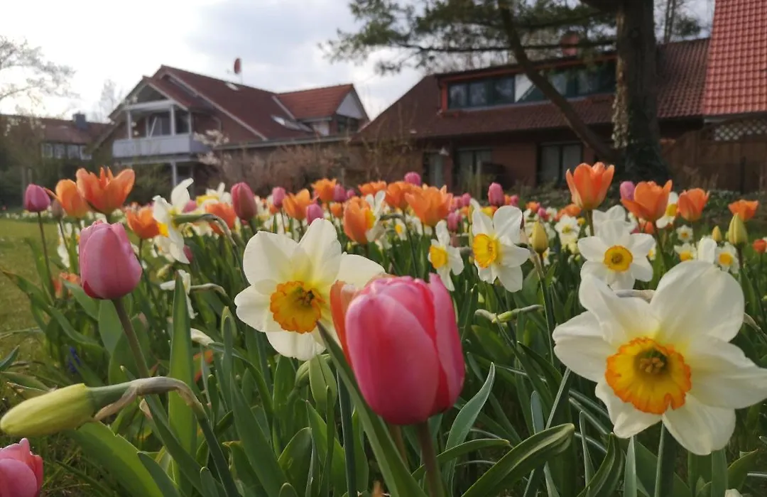 Hotel Dat Greune Eck-1
