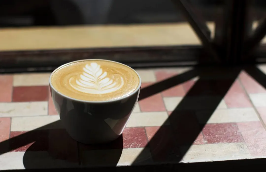 Casa Cafeólogo-1