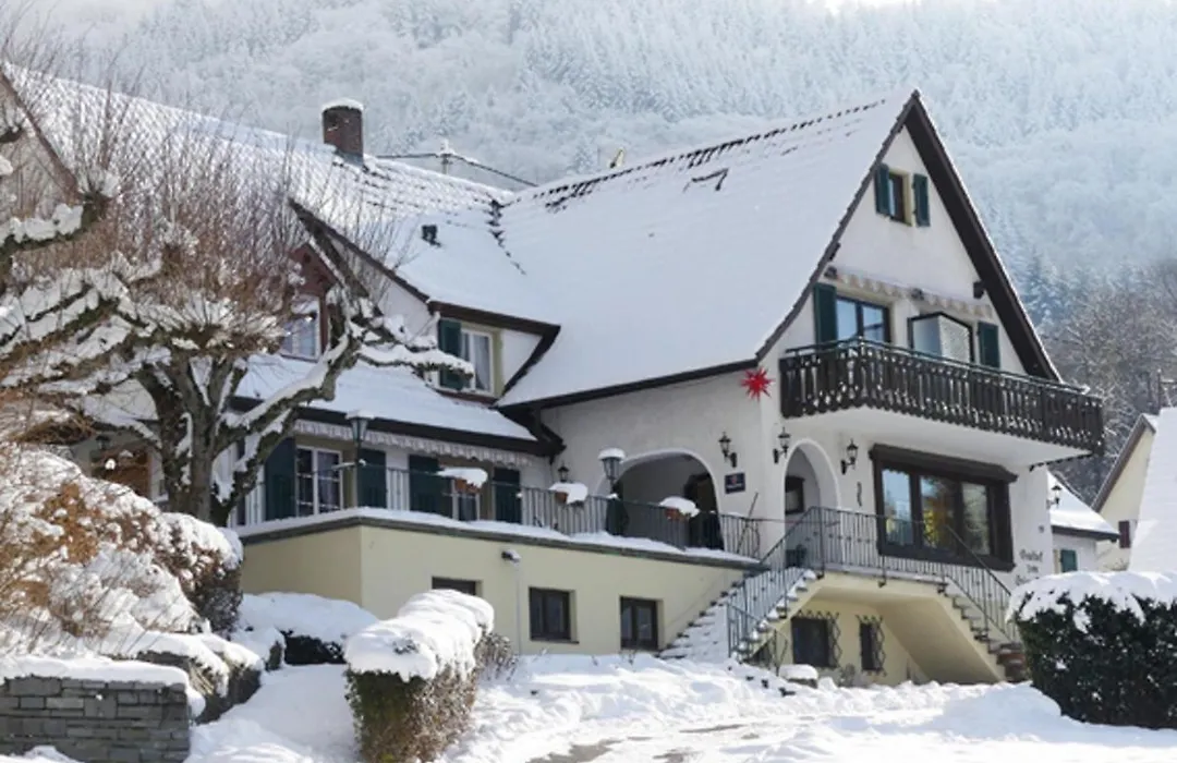 Landgasthof Grüner Baum-1