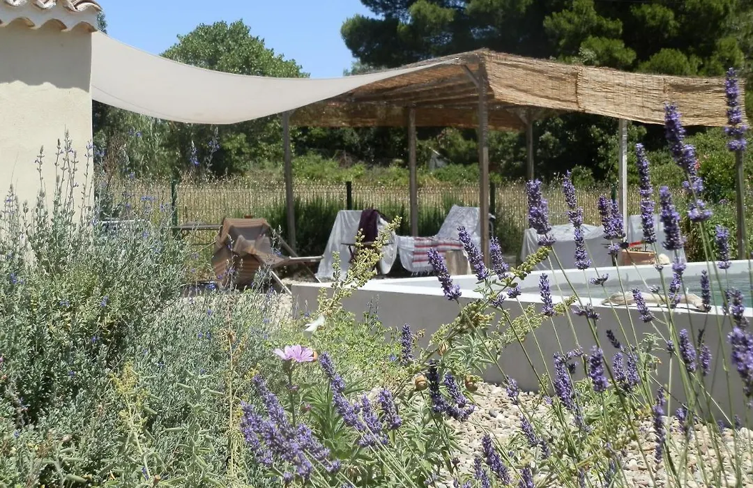 Domaine de Manteau-Bleu-1