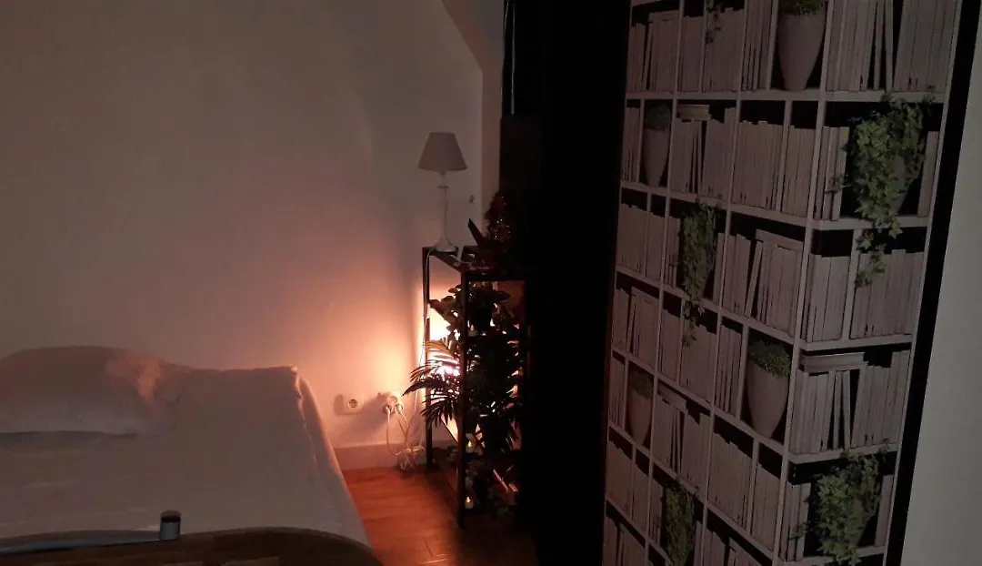 Studio Cosy-1