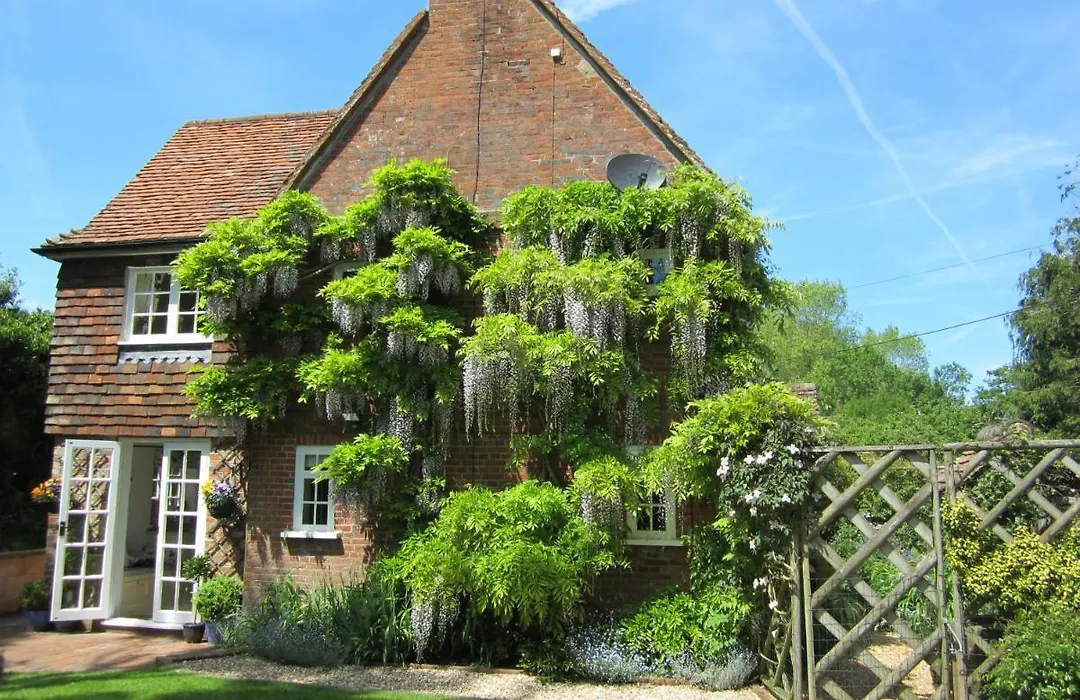 Vine Cottage-1