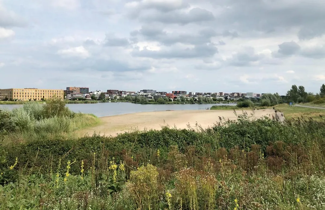 B&B De Zwanebloem-1