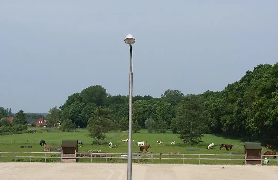 B&B Manege Groenewoude-1