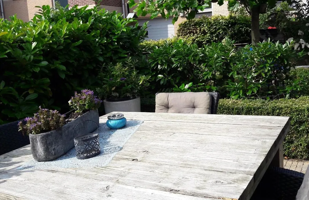 Bed&Breakfast De Schans-1