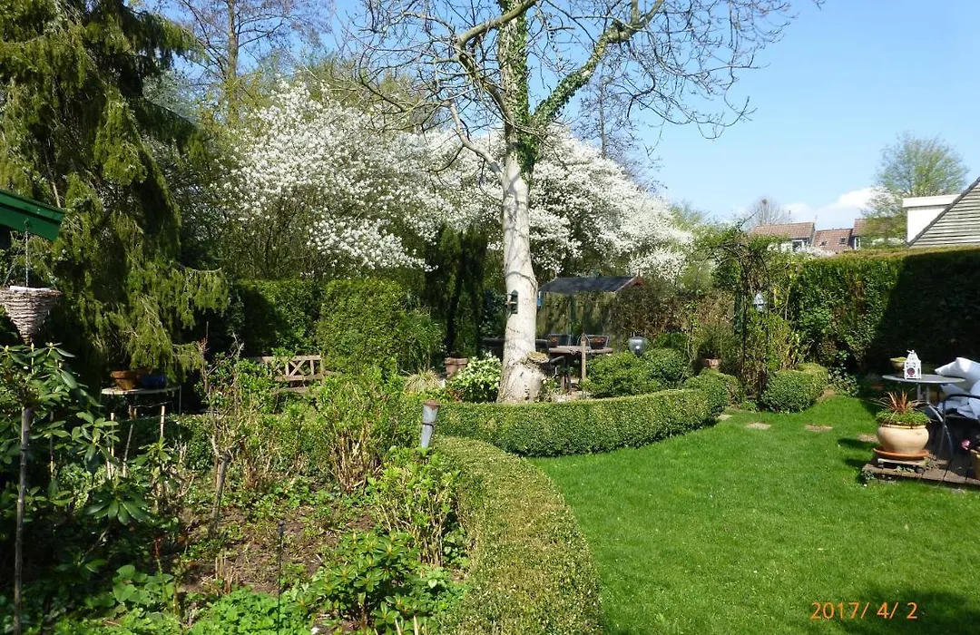 Wiersse 68-1