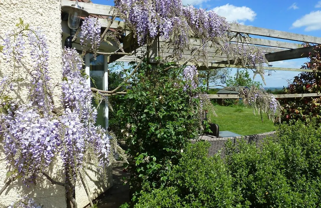 The Lodge, At Orchard Cottage-1